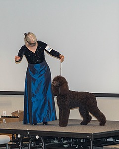 20190514-TEN-0032.jpg