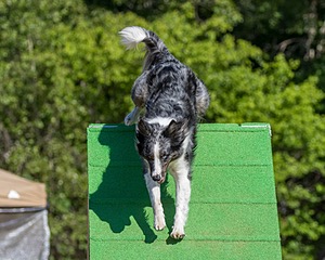 20160619-CCKC-0290.jpg