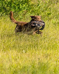 20260725-JHL-0012.jpg