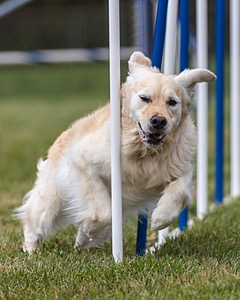 20200819-2109.jpg