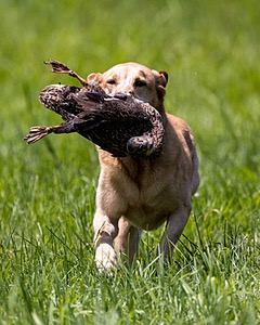 20240720-MH1-0652.jpg