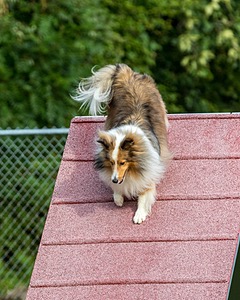 20200819-0334.jpg