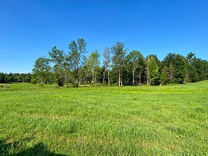 20240720-C-0002.jpg