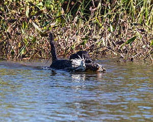 20191005-WCW-0018.jpg