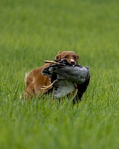 20220604-SHL-1320.jpg