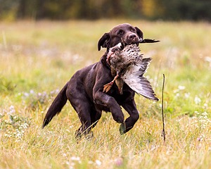 Gunny Fisher