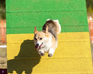 20160619-CCKC-0050.jpg