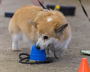 20260718-NSKC-0690.jpg