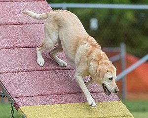20200819-1859.jpg