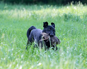 20160604-SEAL-0002.jpg