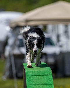 Jaxx Erskine