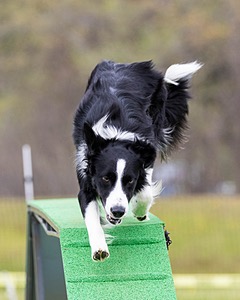 20160515-NEAT-1079.jpg