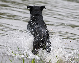 20080531-HRW-1123.jpg