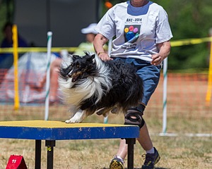20160619-CCKC-1239.jpg