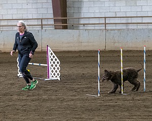 20190513-AG-0159.jpg