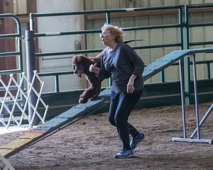 20190513-AG-0247.jpg
