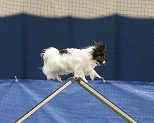 20150321-LEAP-1508.jpg