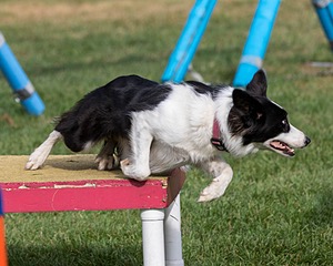 20200819-0306.jpg