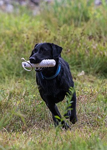 20160717-PWL-0040-2.jpg