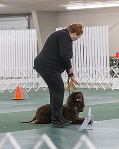 20190514-RA-0321.jpg
