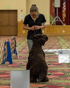 20260513-RA-0092.jpg