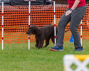 20190926-0013.jpg