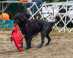 20210912-MWD-0112.jpg