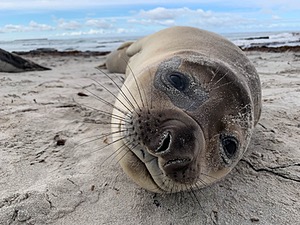 20191217-0648.jpg