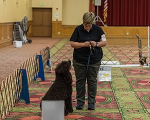 20260513-RA-0079.jpg