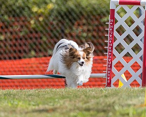 20200819-1050.jpg