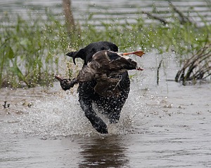 20080531-HRW-0994.jpg