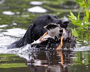 20130713-MHB2-0057.jpg