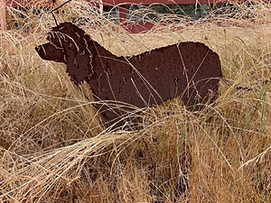 20210827-C-0010.jpg