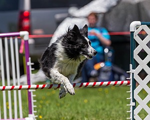 20170520-NEAT-1540.jpg