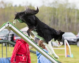 20160515-NEAT-0388.jpg