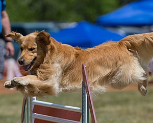 20150613-CCKC-0058.jpg