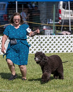 64 - CH Navarone's Absolutely Fabulous RN CGC (Edwina)
