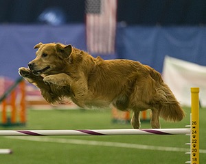 20150321-LEAP-0660.jpg