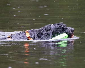 Rio Abbruzzese