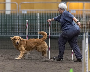 Pup-Pup Beaulieu