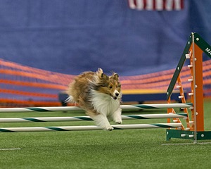20150321-LEAP-1546.jpg