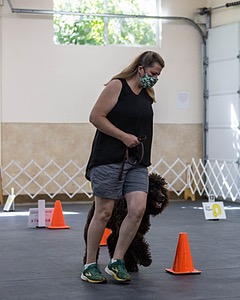 2204 - GCH CH BREKKON'S FIRST MARK CGC