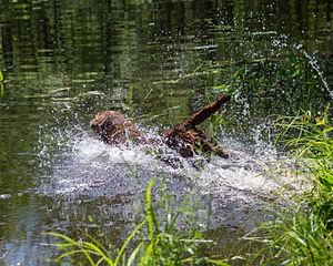 20170716-WCXW-1268.jpg