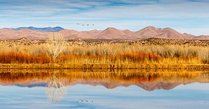 New Mexico