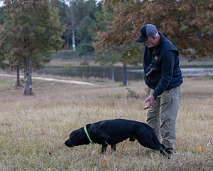 Ruger Harrelson