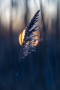 Plum Island, Massachusetts