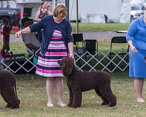 20190928-0698.jpg