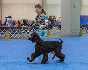 10 - Poole's Ide Touch Of Mink (Darla)