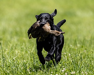 20220605-FINL-1792.jpg
