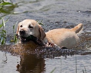 20080601-SRW-0987.jpg